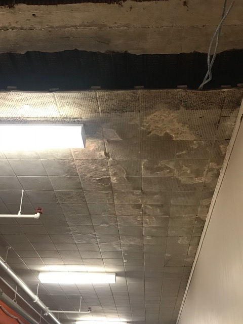 Mold Affected Asbestos Ceiling Tile, Was Asbestos Used In Drop Ceiling Tiles